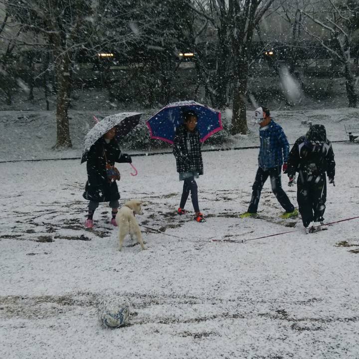 B6af8d83 f8a5 493a 8b15 ec29effb7f40