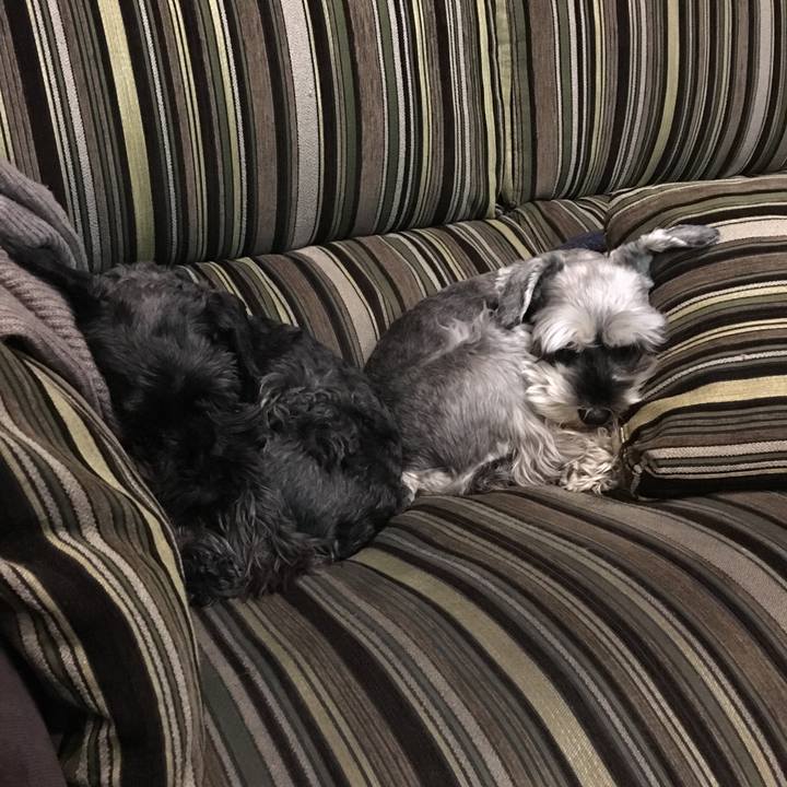 B6af9f82 d107 4130 aacd c00ba3ee864a