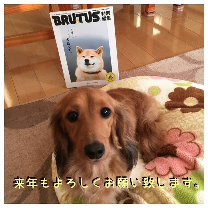 B6afa80a 7e06 4d52 bf0b b3bbc241b9f0