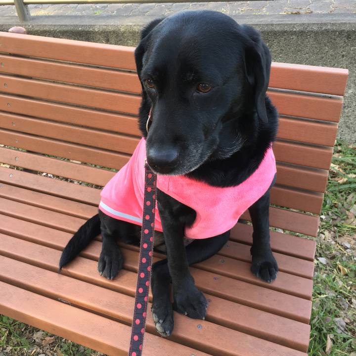 B6b09478 5e17 47d3 80b8 f819efb6b054