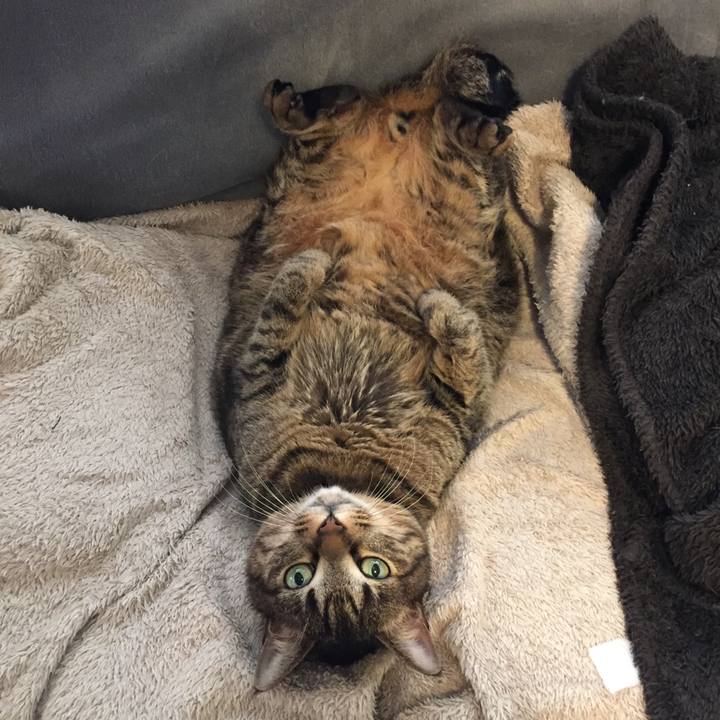 B6b0acbc ddf2 4034 9479 7cf186757c4b