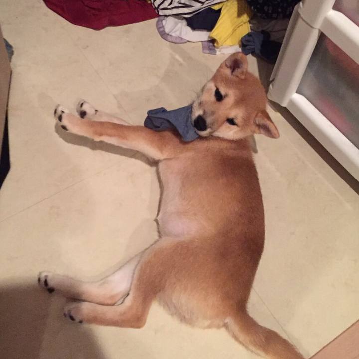 B6b0c364 19eb 4675 b7ed 7c7ceee89e6f