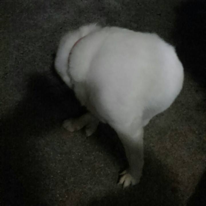 B6b10b50 ffba 4914 973d 376a6abfd1d5