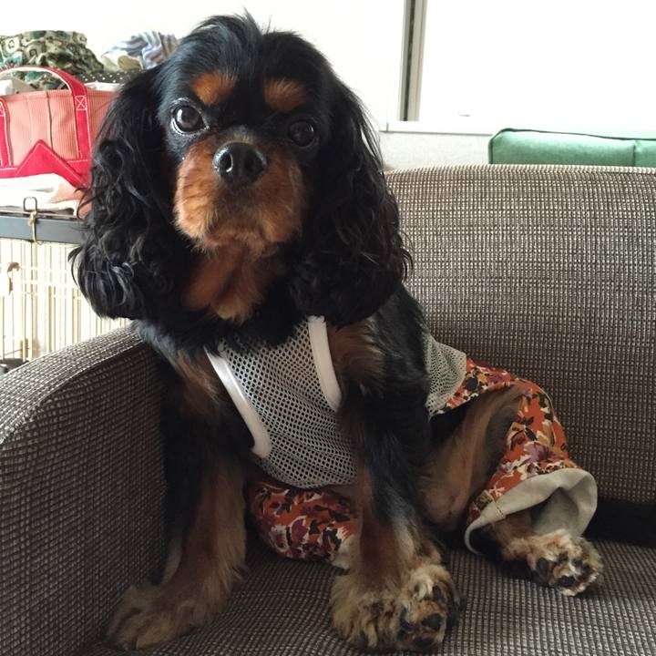 B6b13e4e 1b30 40f2 b427 f56dc9ae8444