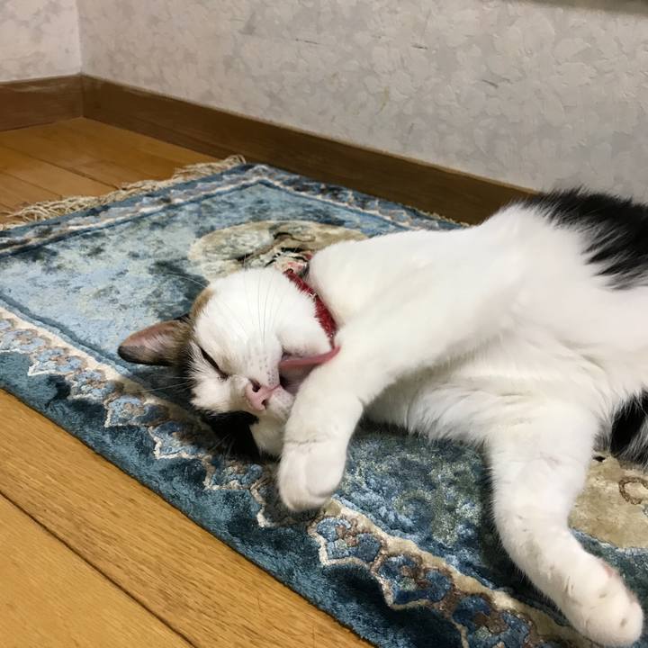 B6b25b73 c105 4a9c ad69 aa10221a4f62