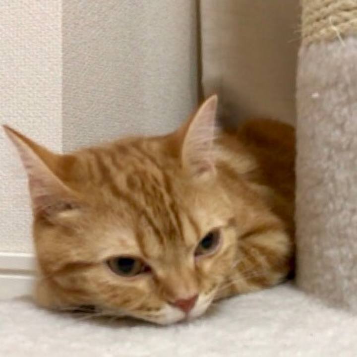 B6b28a22 8a25 4662 8769 b77ba2d8a7b4