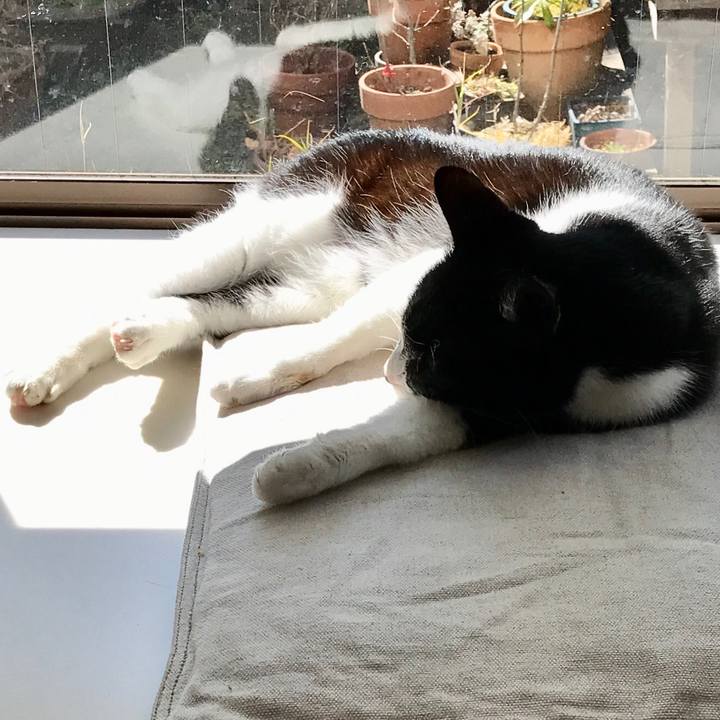 B6b2d7d0 b2b5 43a5 8484 a3124ac49341