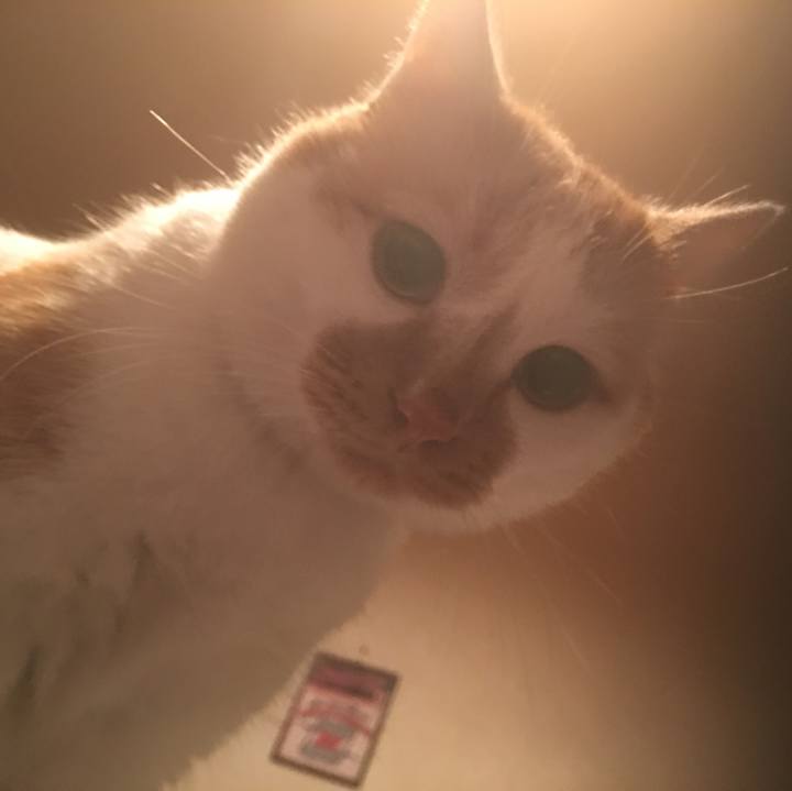 B6b32167 1db4 4b2b 8f1d eb0f143a8210