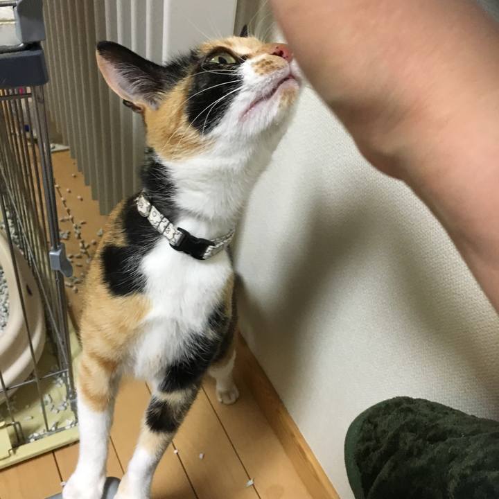 B6b326cc 6bcc 4742 9759 87f78d390b66