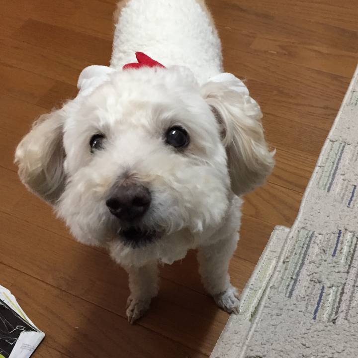 B6b32a6f c98c 4161 a630 cba0a8770224