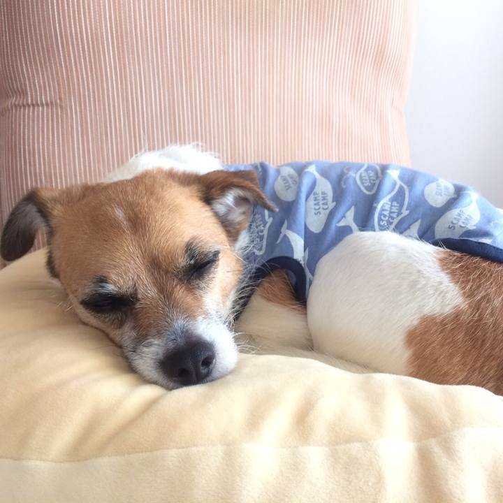 B6b33c3f c824 42cc b6de fc05d175ac90