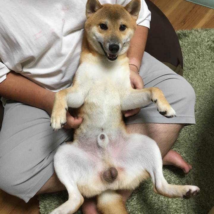 B6b3b931 e7b5 42d2 aca0 b9d63571b903