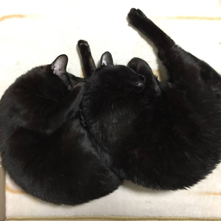 B6b482aa 349d 4002 9259 7dd379d2b8de