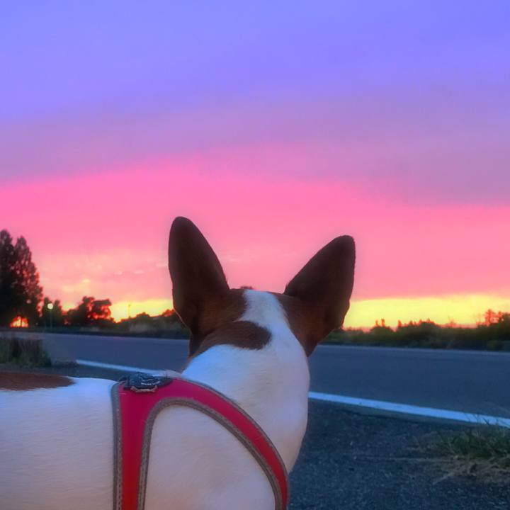 B6b548d9 a957 4b72 9dcb 7c9469c1ca6e