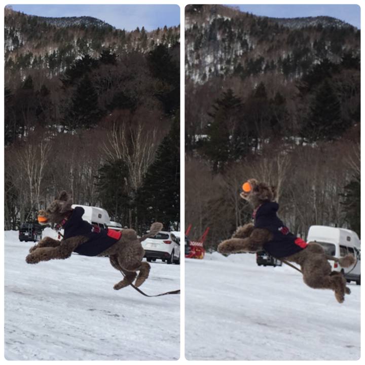 B6b5d0e3 a13f 4797 bb32 0f997e826664