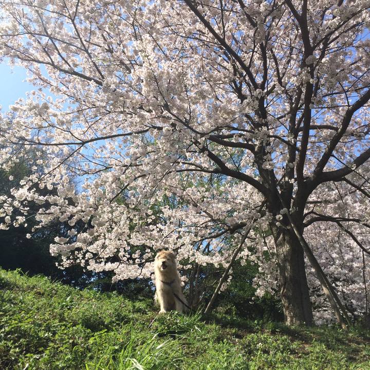 B6b6f76d c1b3 4350 adef fb6e347bce2d