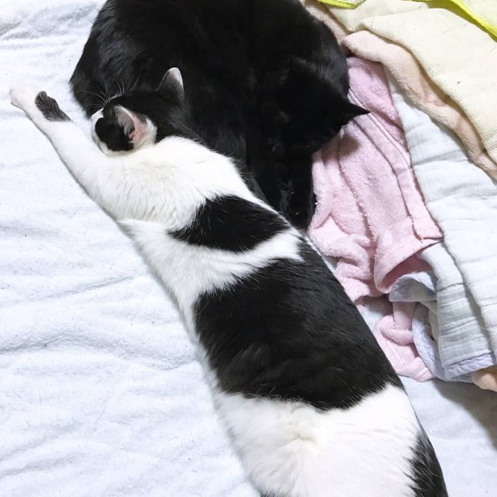 B6b75924 4c32 4b8f b2ea 4bd5b4aac0e4