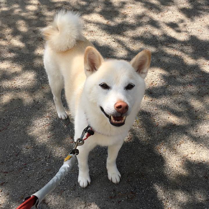 B6b76f40 99af 4507 93c1 0d4d0942740d