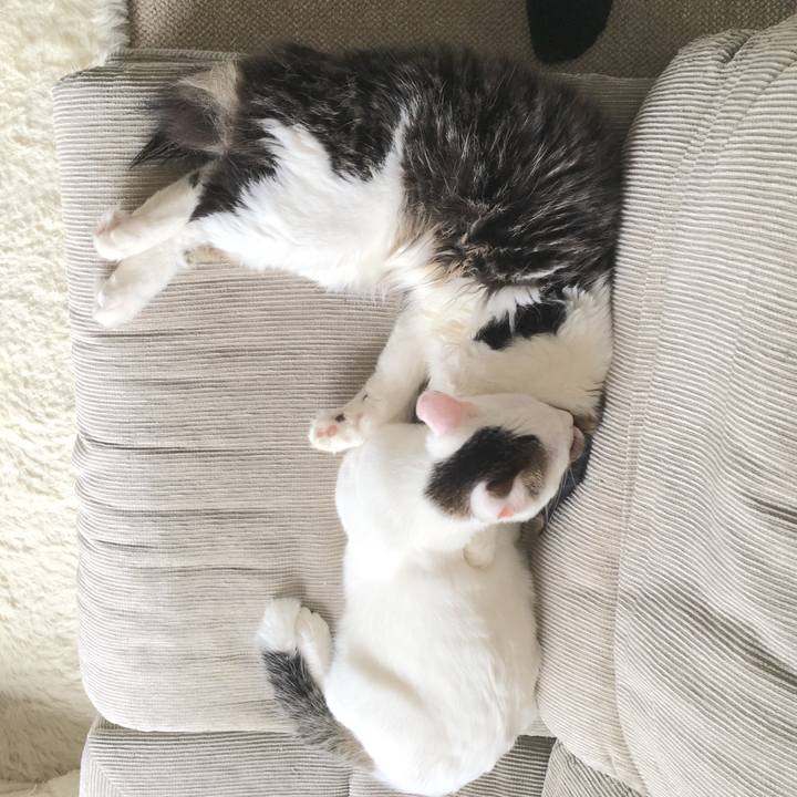 B6b7b4e5 d7e0 4bd0 8bb9 c4d1ee91ba9b