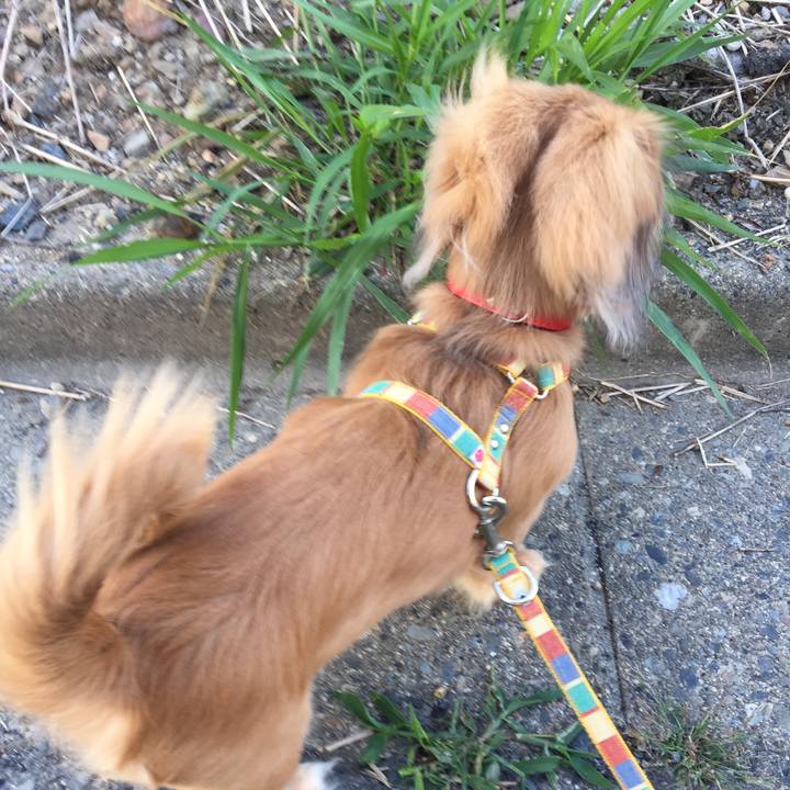 B6b7f487 2b83 4544 86ce 011961174c06