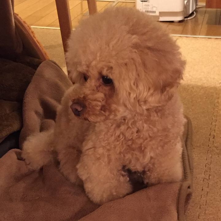 B6b9fdb0 b8bc 47a0 8f3c 66f3572c8038