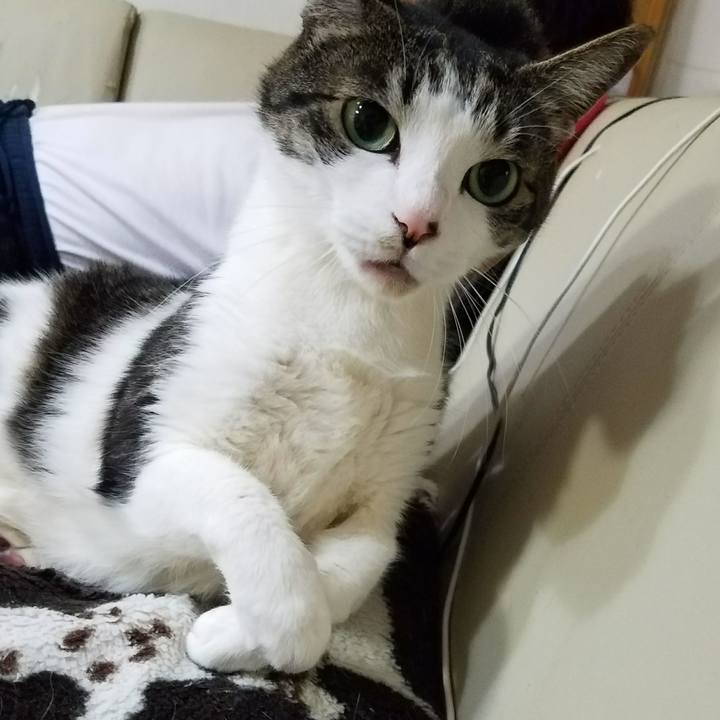 B6ba17d0 89d9 4ae0 a322 d79407123f02