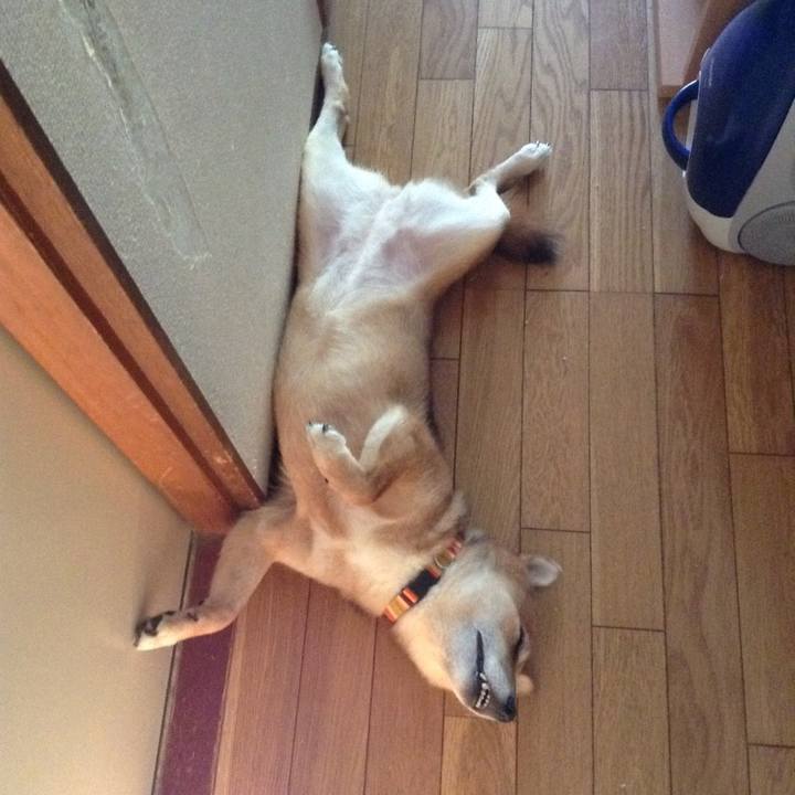 B6ba30c4 b498 4f4a 8486 ab8b87353064