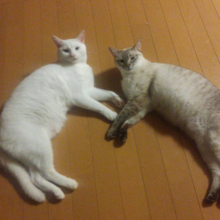 B6ba3e6e 5799 4a30 896d 78fbdeca4a90