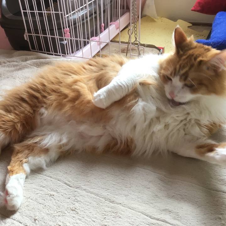 B6ba5268 9bbc 411c 8ce0 f8bcee58ce08