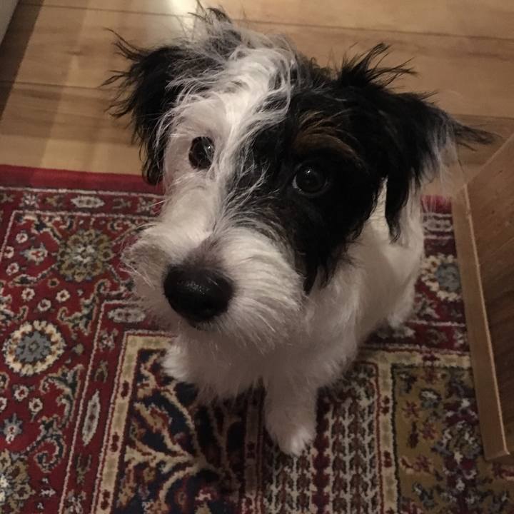 B6babcc7 ab15 41bb 86ba d6754df3879f