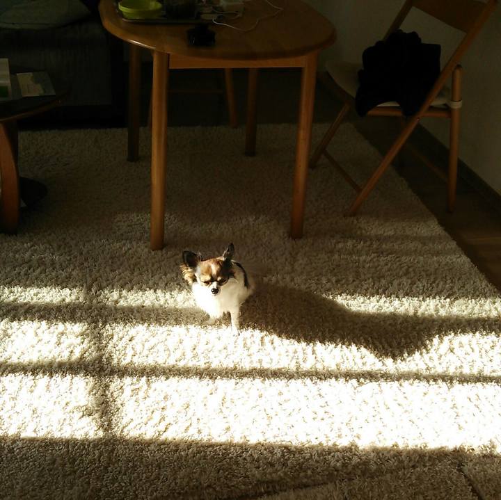 B6bacfa2 b2de 4935 ba37 8309a5343c55