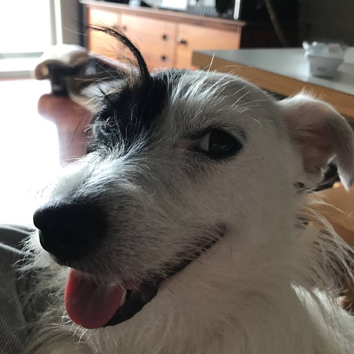 B6bb2f97 040b 4cd4 aaea 5c6c319b27b1