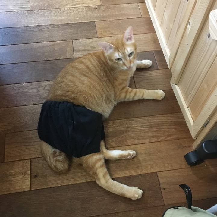 B6bb3bee 9ca1 4ae0 8677 4e3f4279c01d