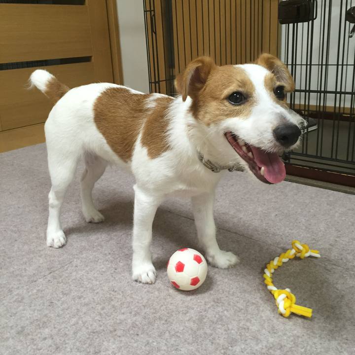 B6bb4b51 e083 4811 8e61 792253b571bc