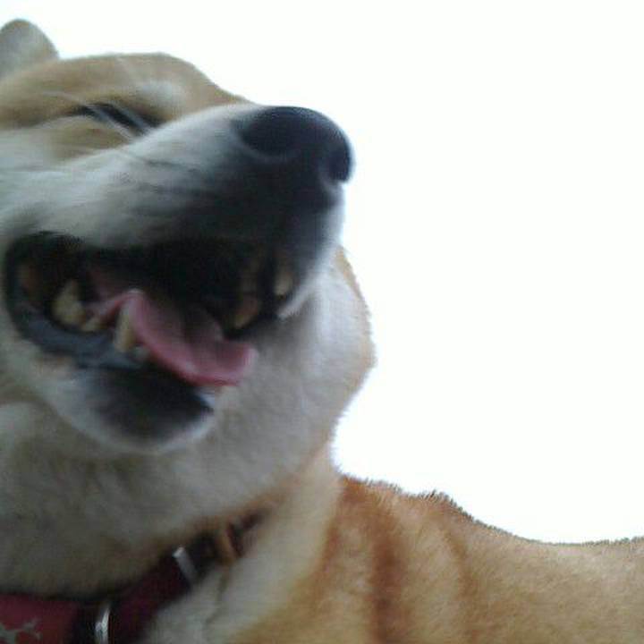 B6bc41e9 c08e 4384 990a 8bbca0b13f21