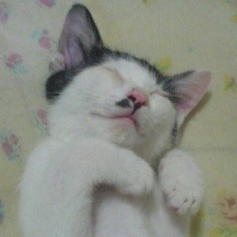 B6bc818a 7d89 49d8 a606 5220d013b73d