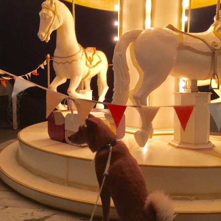 B6be2477 215c 4833 964e e04ebdf013b7