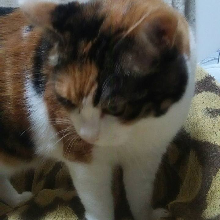 B6be3fd8 dc78 43e2 a1f9 5db50c456e19