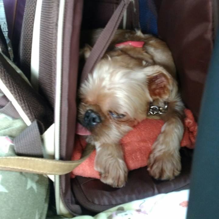 B6be6400 1720 4a38 a338 1957adc3965b