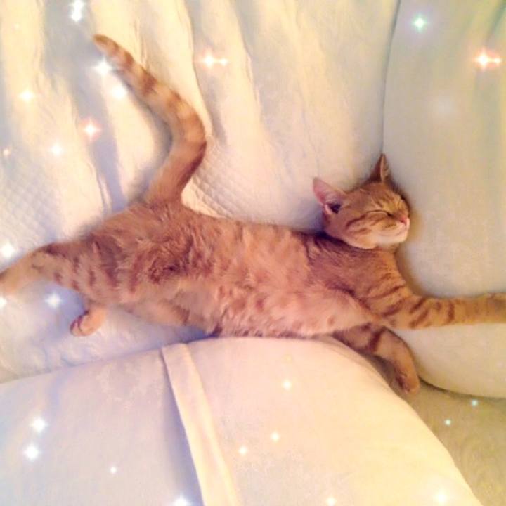 B6bf57d1 e97b 4280 93ee c26723a53c2b