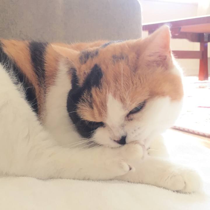 B6bf6507 ef30 4f07 b615 2e7ef64211f7