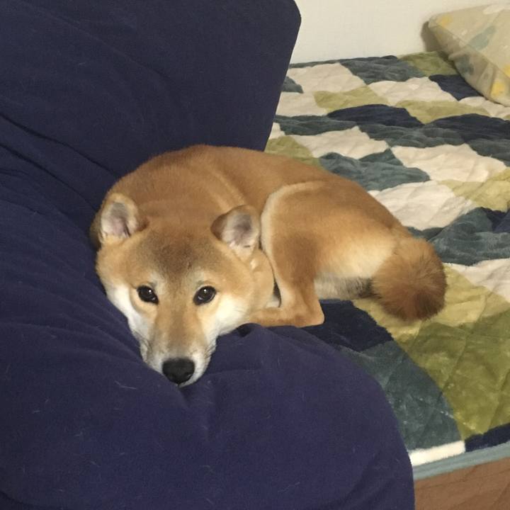 B6bfb381 abd1 4b33 9821 e6246ce44ca9