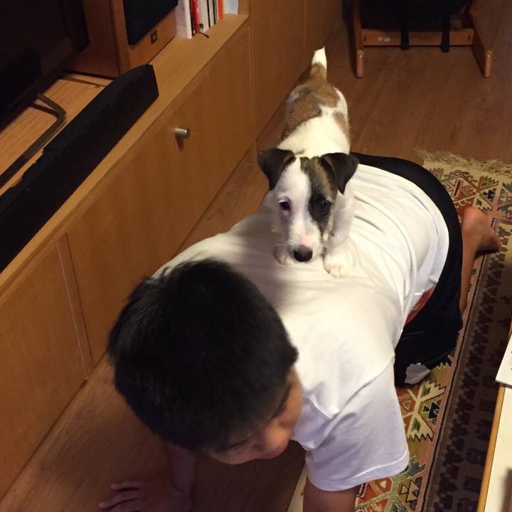 B6bfb578 3b23 409d 9c3b dc2f4b447eaa