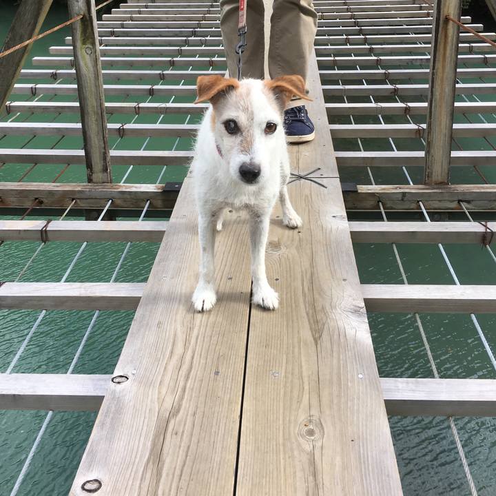 B6c0a6d3 5916 413a 8449 d6b4a5b0cc1e