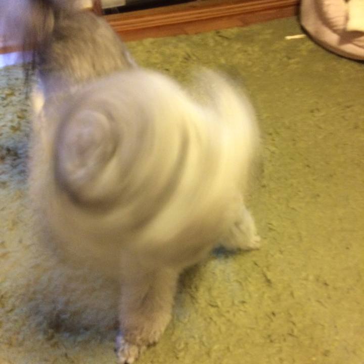 B6c0b03e 5414 4a02 8cf9 ae95e2f47cf7