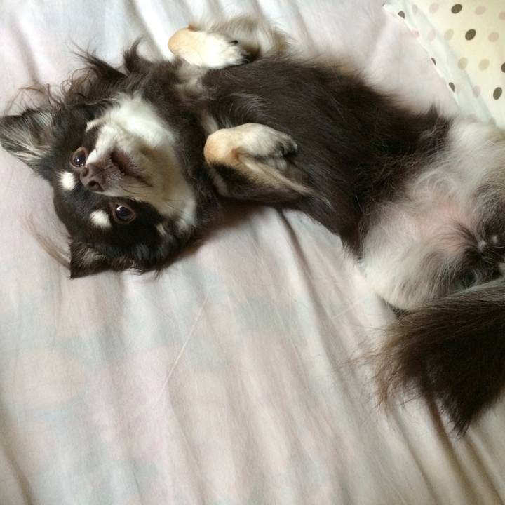 B6c0da2d c4c7 4855 b6ed cfcafdbb71f2