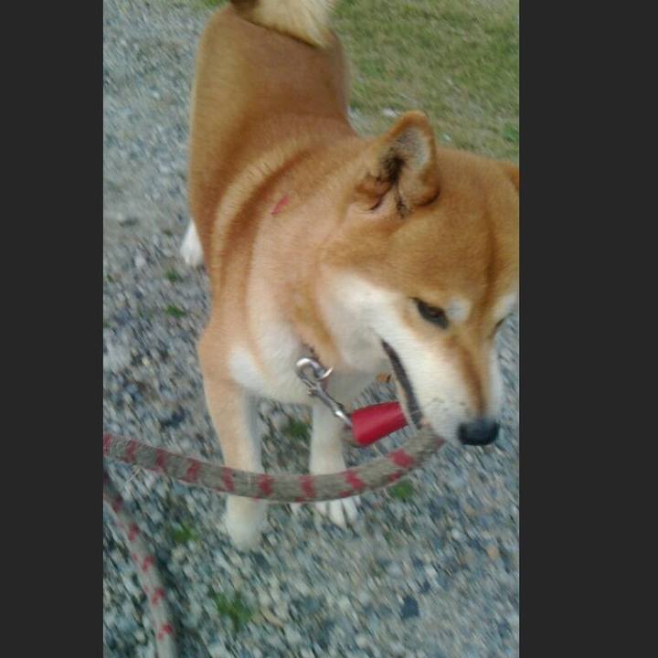 B6c224d6 1870 4aae 9023 8fd1c599a656