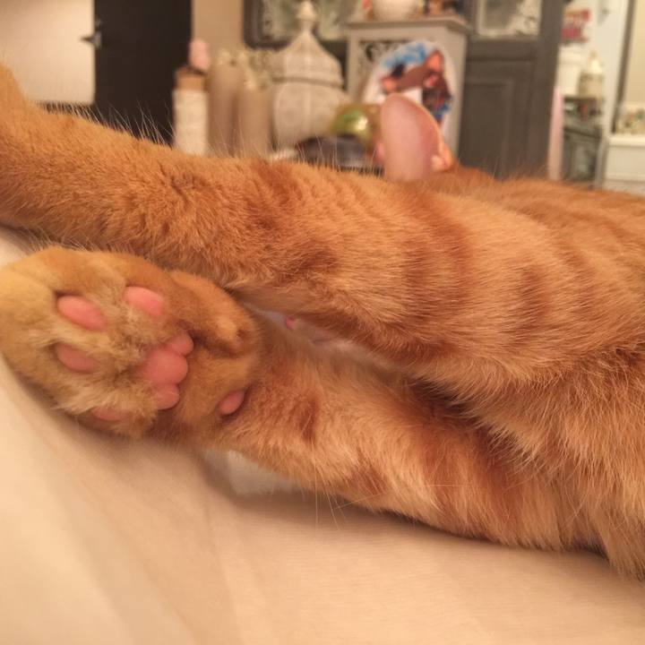 B6c29c09 07a2 4e40 bc92 db6069ee8c9c