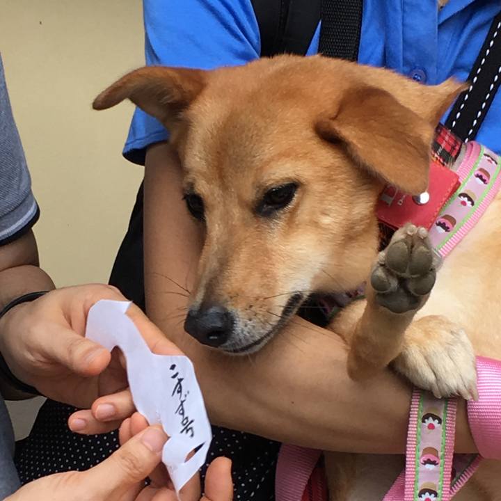 B6c32972 f196 438a 81c4 23b5649eed62