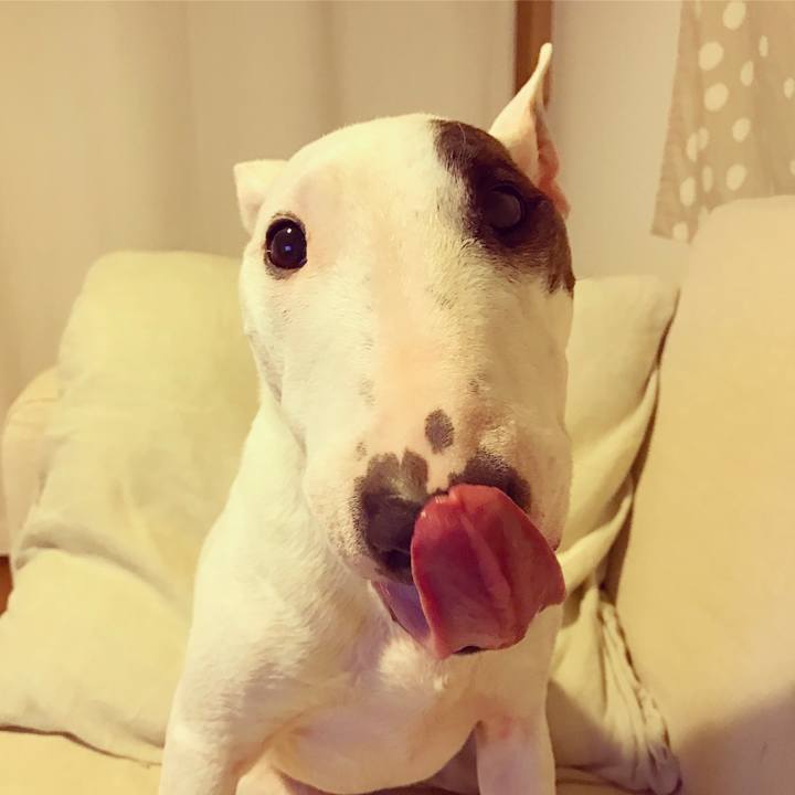 B6c36fe2 049b 4728 812f 15828385ec03